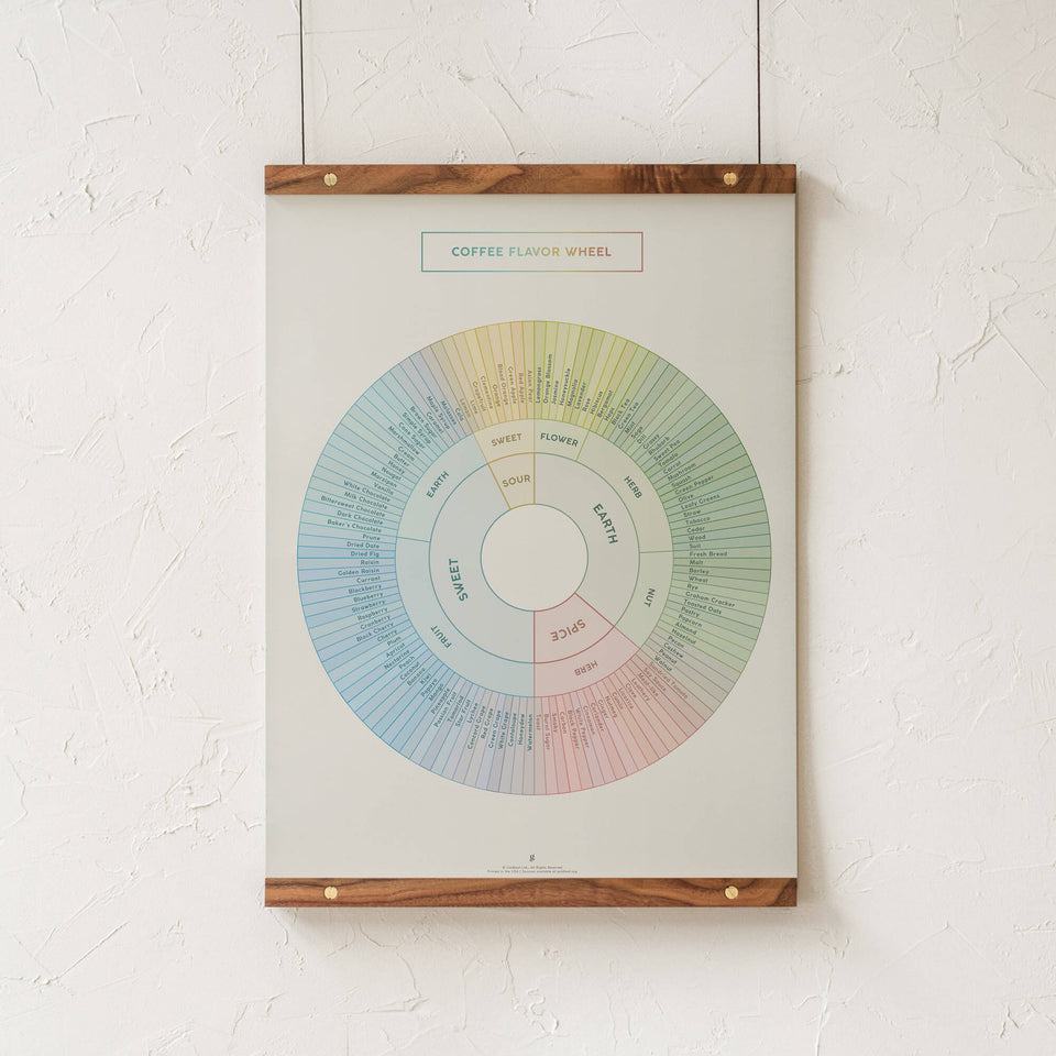 Coffee Flavor Wheel Infographic Print - Walnut Rails