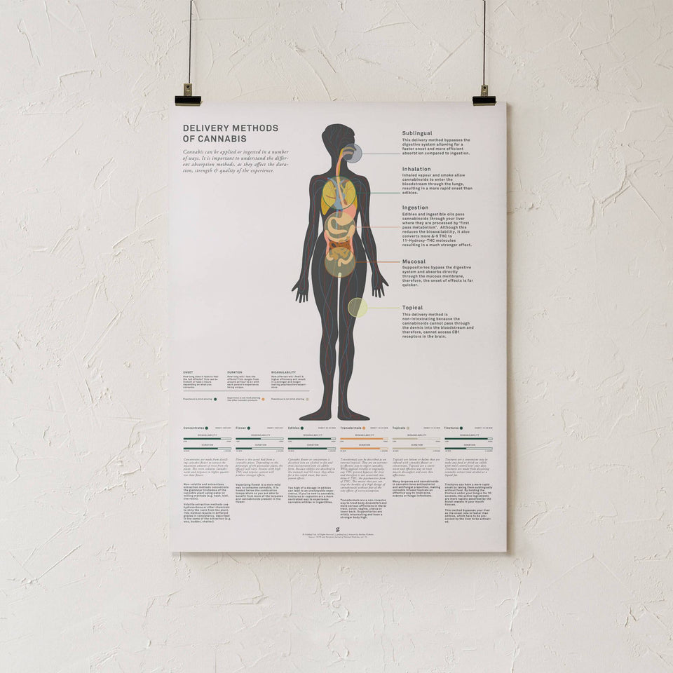 Delivery Methods of Cannabis Infographic Art Print - Goldleaf