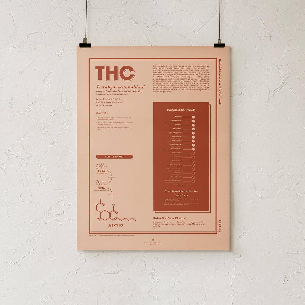 THC: A Closer Look Print by Goldleaf - Print Only 