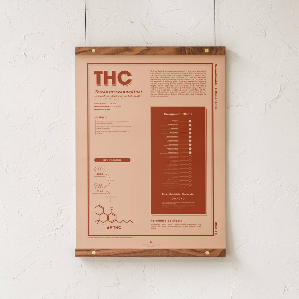 THC: A Closer Look Print by Goldleaf - Walnut Rails