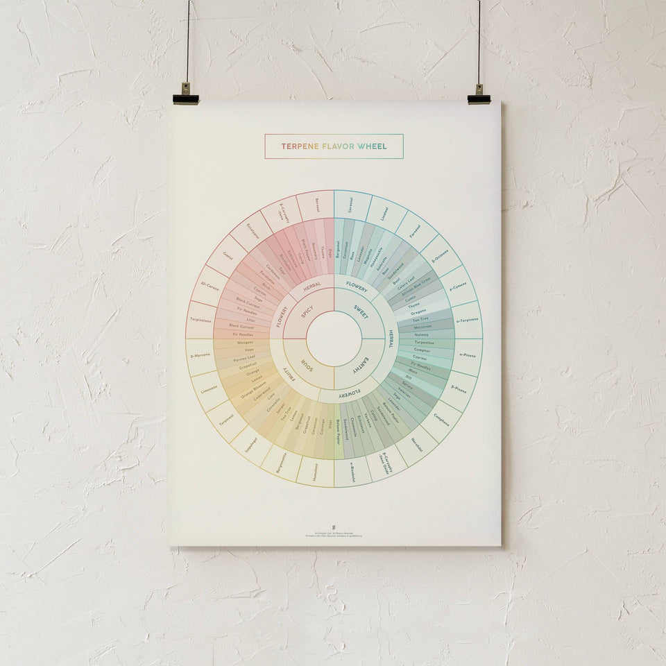 Terpenes Print Bundle