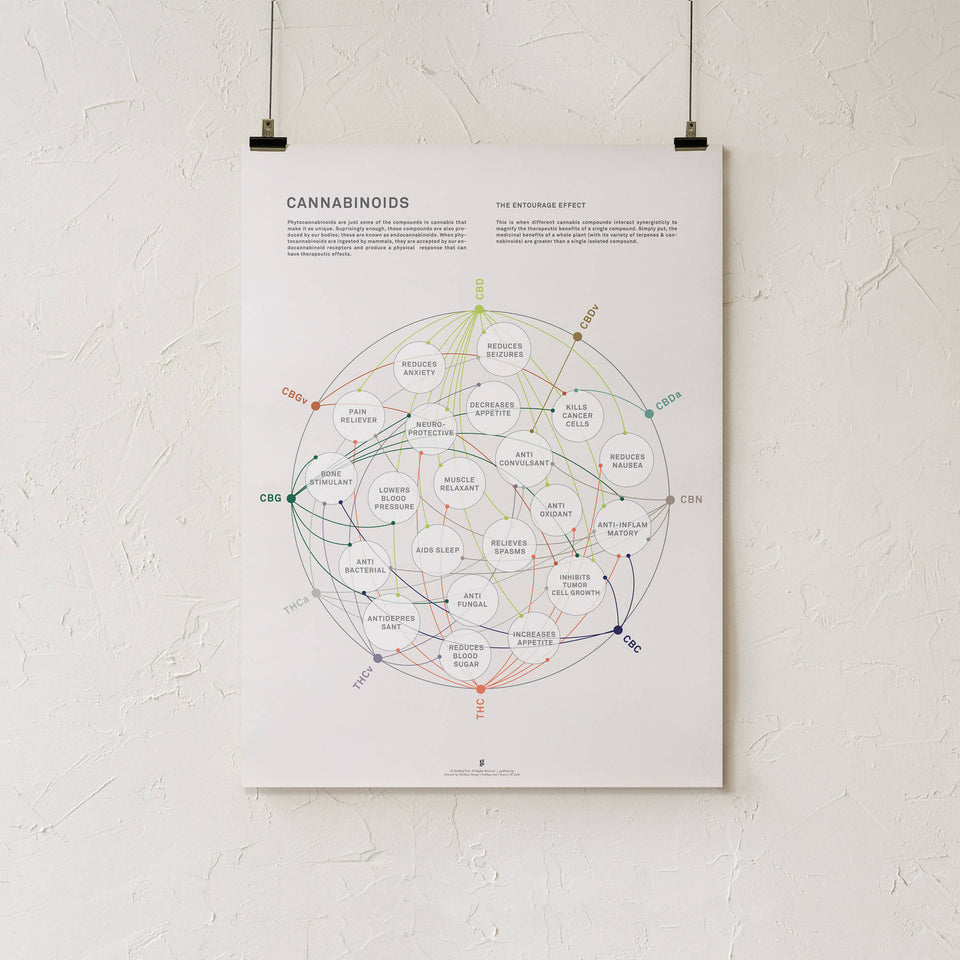 Cannabinoid Health Matrix Print - Cannabinoid Benefits Infographic - Cannabis Education - Marijuana Art- Goldleaf