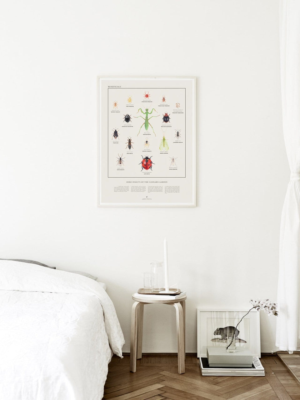 Beneficial Insects Print - Heroes of the Cannabis Garden - Bug Illustration Infographic - Marijuana Gardening - Goldleaf
