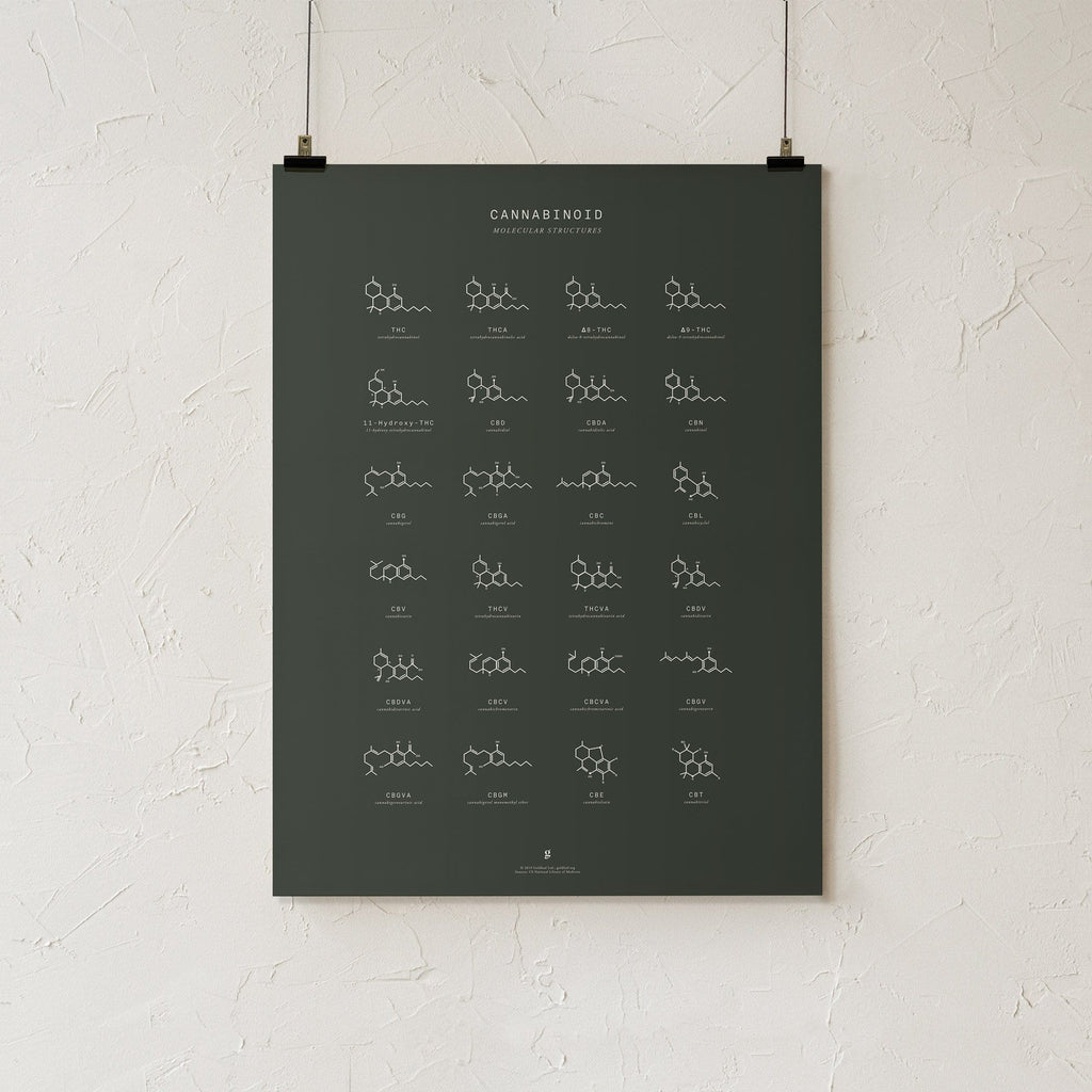 Cannabinoid Molecular Structures Chart Print | Goldleaf