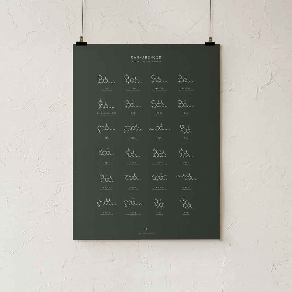 Cannabinoid Molecular Structures Print - Cannabinoid Molecule Chart - Cannabis Infographic - Marijuana Art - Goldleaf