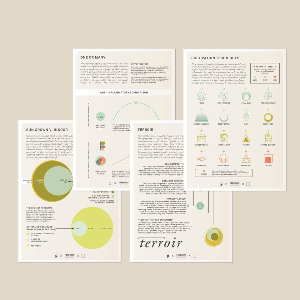 Cannabis Quality Reference Cards - Cannabis Education - Marijuana Gift - Goldleaf