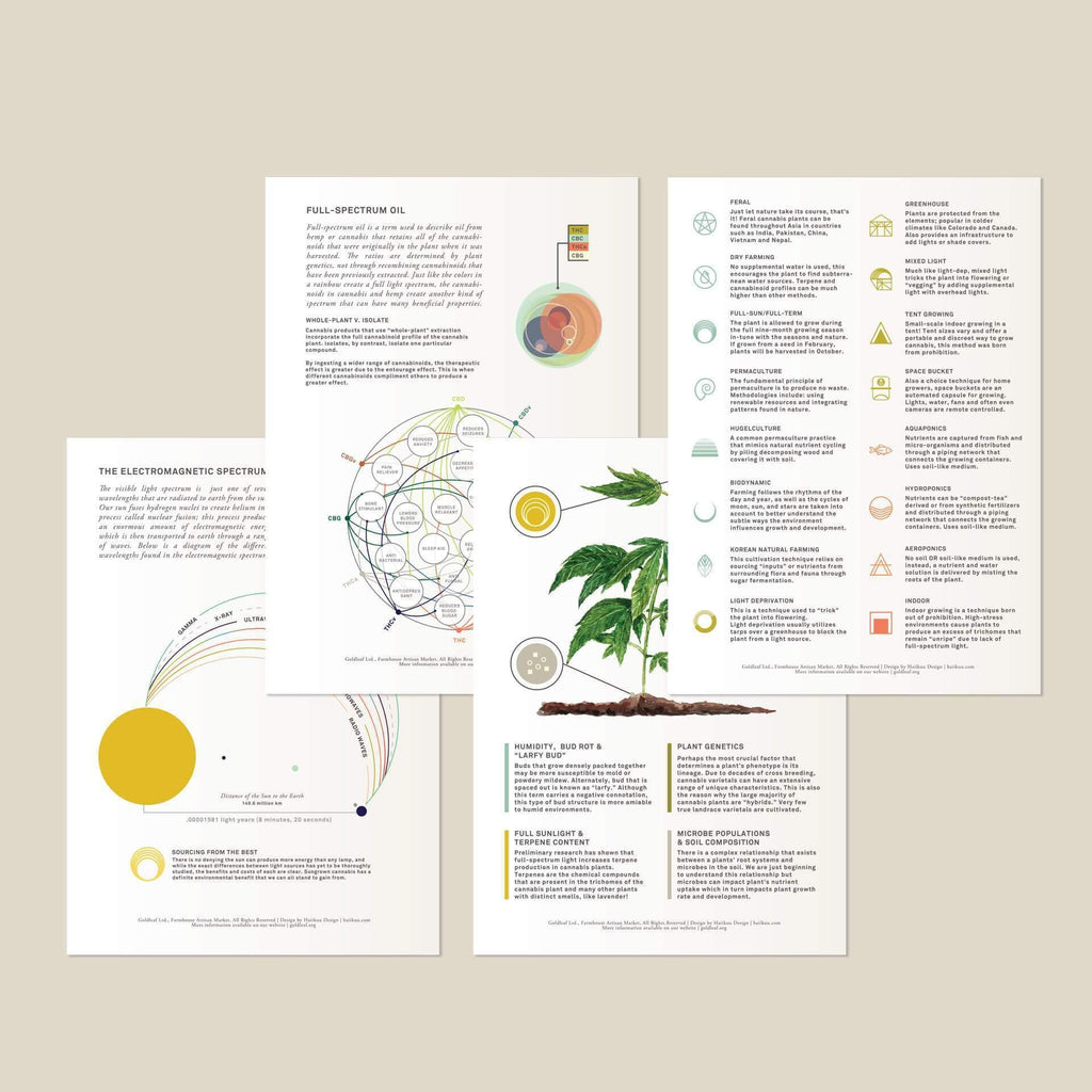 Mini Weed Drawing Reference Cannabis Quality Reference Cards | Goldleaf