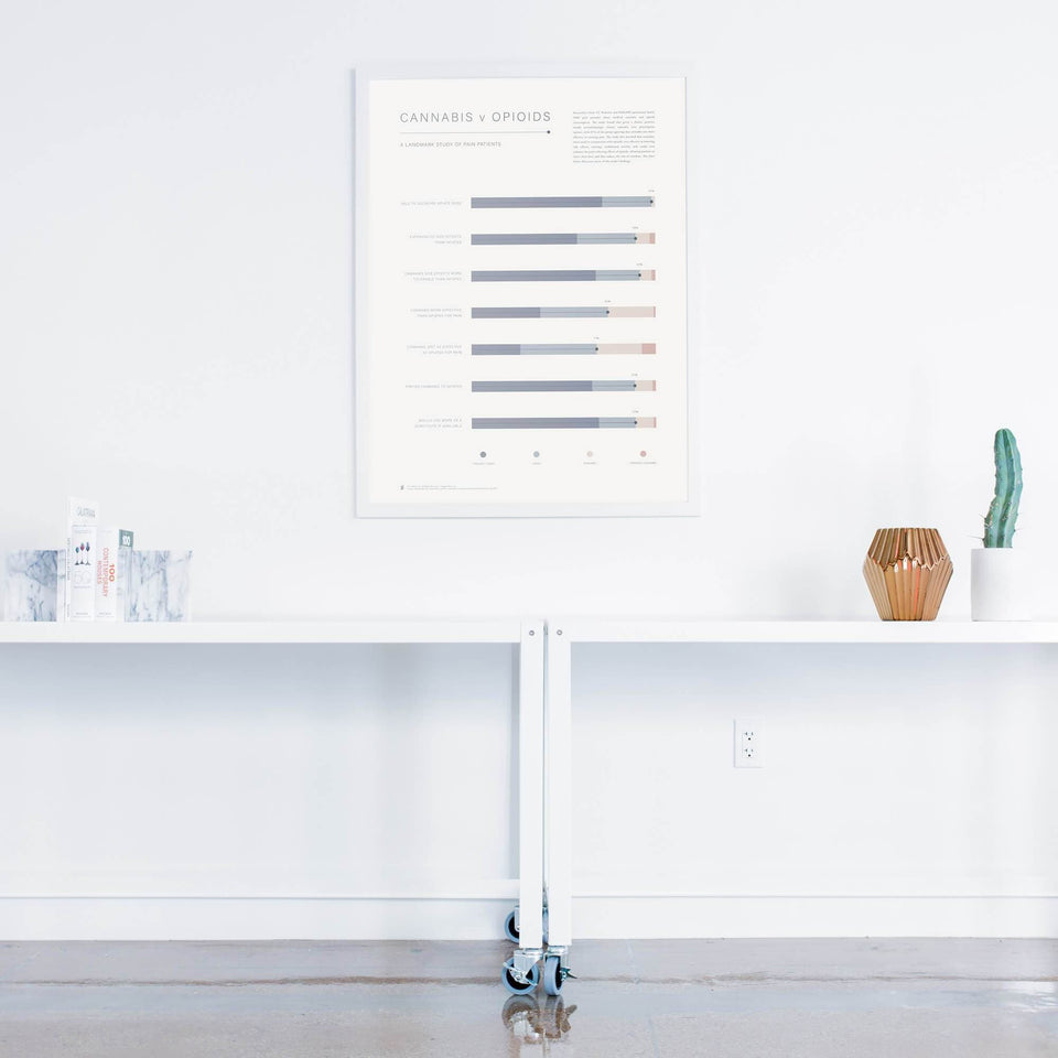 Cannabis v Opioid Infographic Print - Pain Study Results Visualized - Medical Cannabis Information - Goldleaf