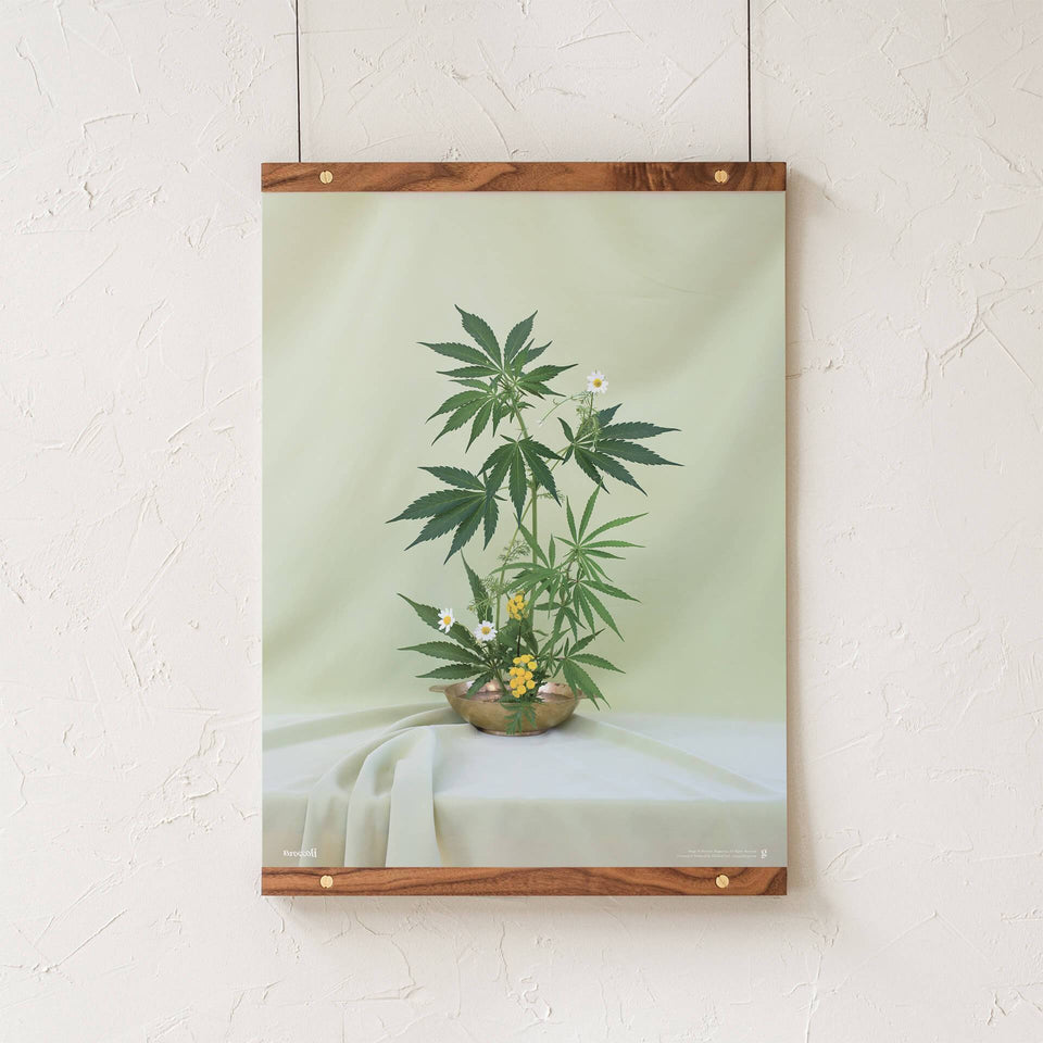 Green Ikebana Print - Cannabis Botanical Floral Arrangement Poster - Marijuana Art - Broccoli Magazine - Goldleaf