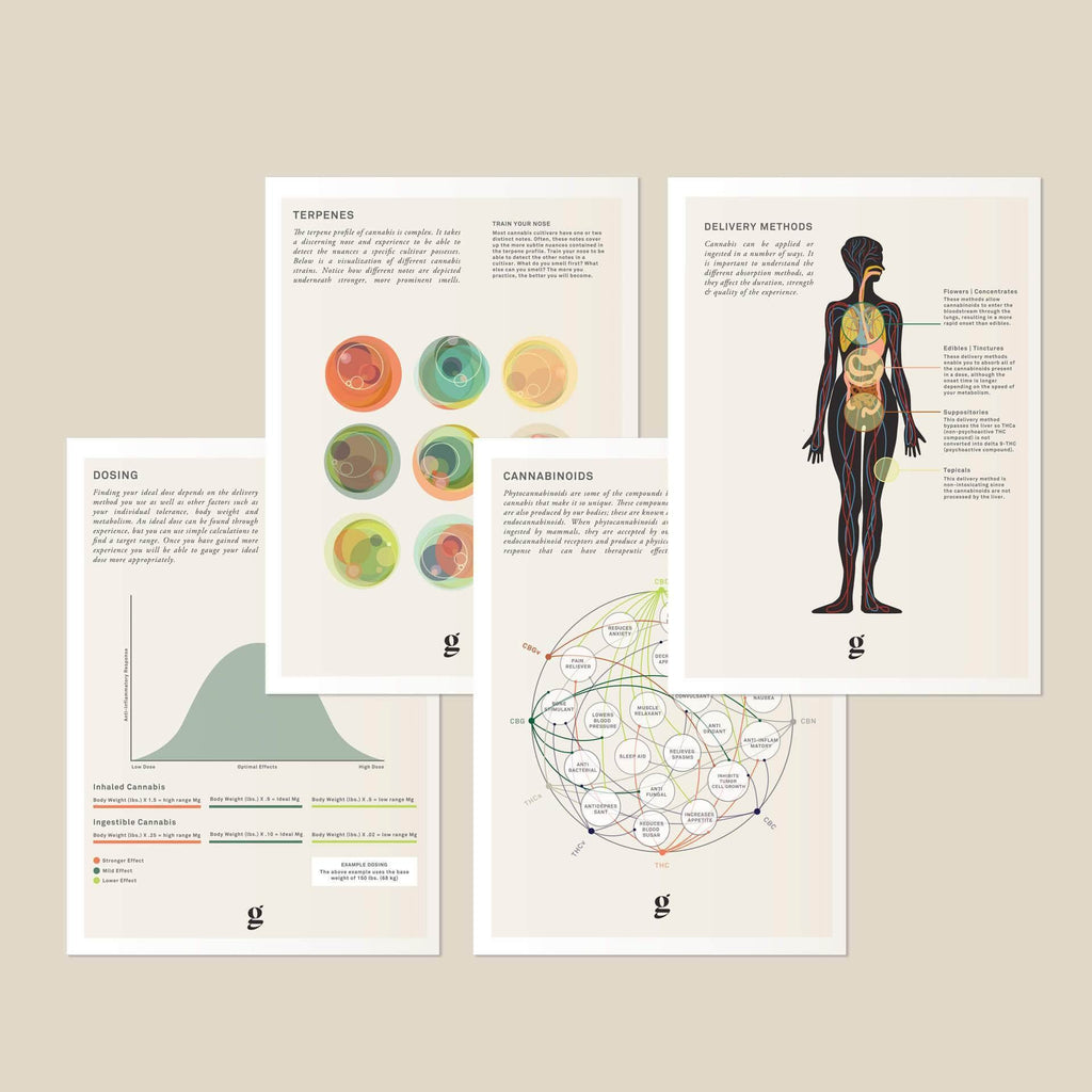 Medical Cannabis Info Cards - Pocket Cannabis Infographics - Cannabis Education - Marijuana Gift - Goldleaf