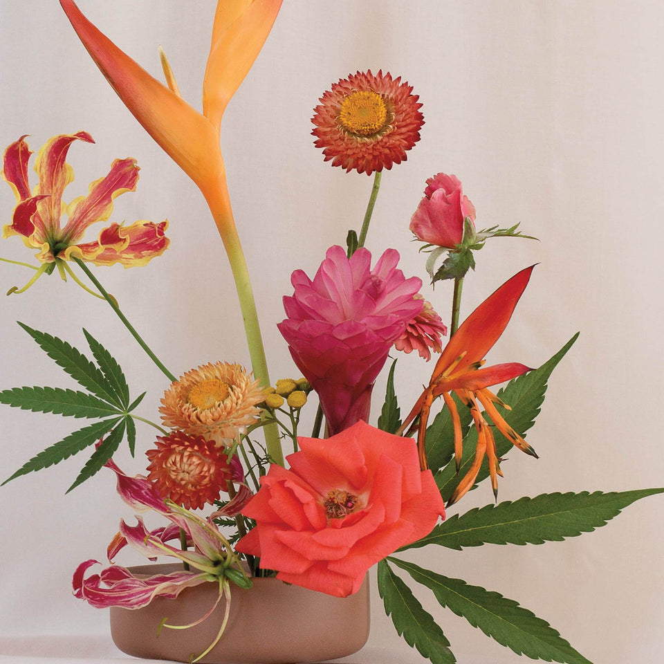 Red Ikebana Print - Cannabis Botanical Floral Arrangement Poster - Marijuana Art - Broccoli Magazine - Goldleaf