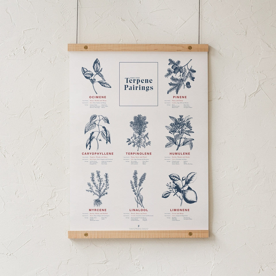 Terpene Food & Wine Pairing Chart Print - Terpene Flavor Guide - Cannabis Flavor Infographic - Goldleaf