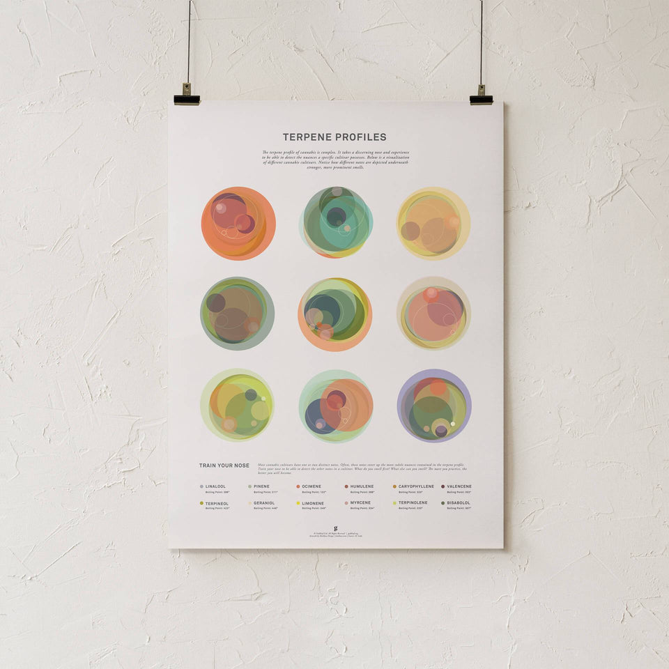 Terpene Profile Illustration Print - Terpene Information Visualization - Cannabis Education - Marijuana Art - Goldleaf