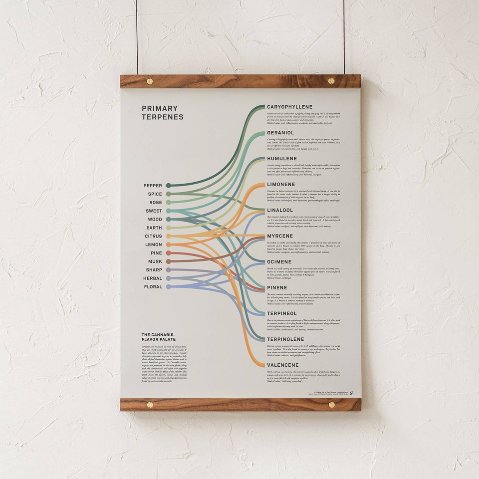 infographic posters for sale