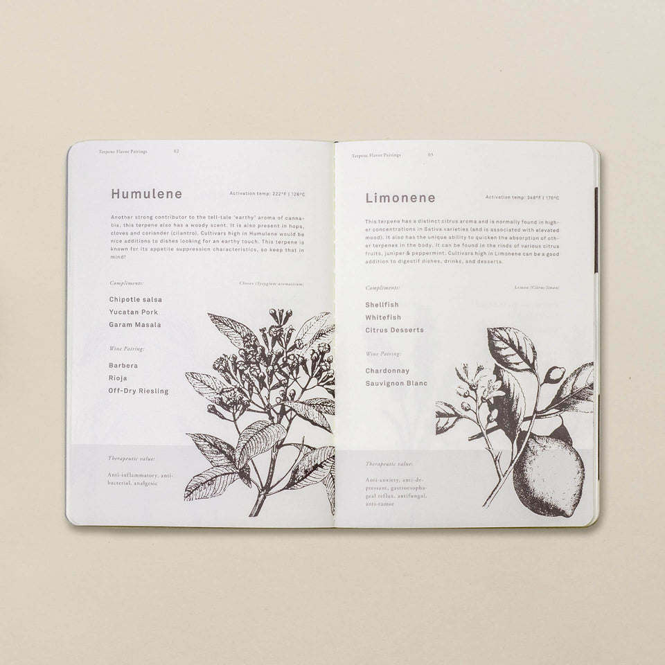 The Cooking Journal - A Cannabis Culinary Companion Recipe Notebook - Jamie Evans Collaboration - Goldleaf