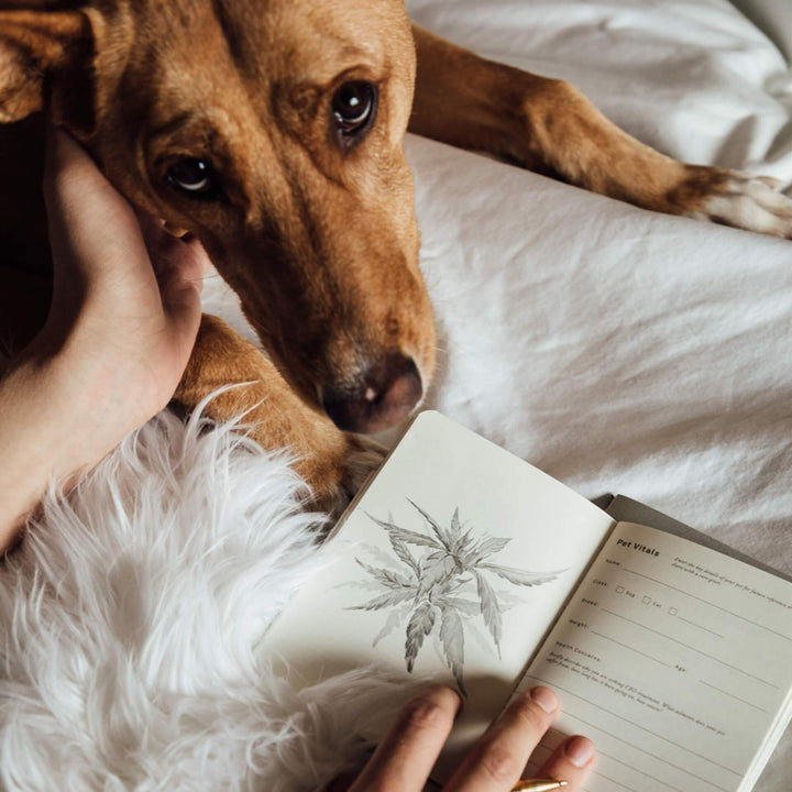 Buy 1 Pet Journal, Get 2nd 40% OFF!