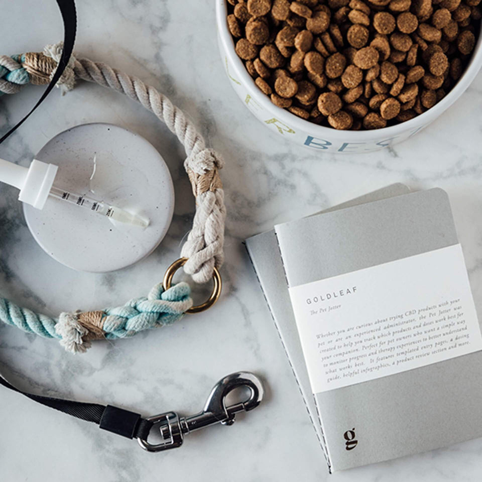The Pet Jotter Journal - Pet CBD Tracking Notebook - Cannabis Animal Wellness Education - Goldleaf