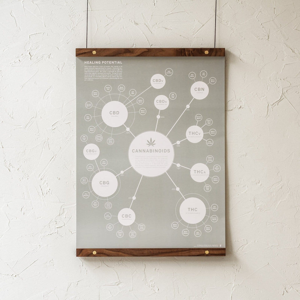 Walnut Poster Rails - Poster and Art Display System - Dark Walnut Wood, Brass Hardware - 18" and 24" - Goldleaf