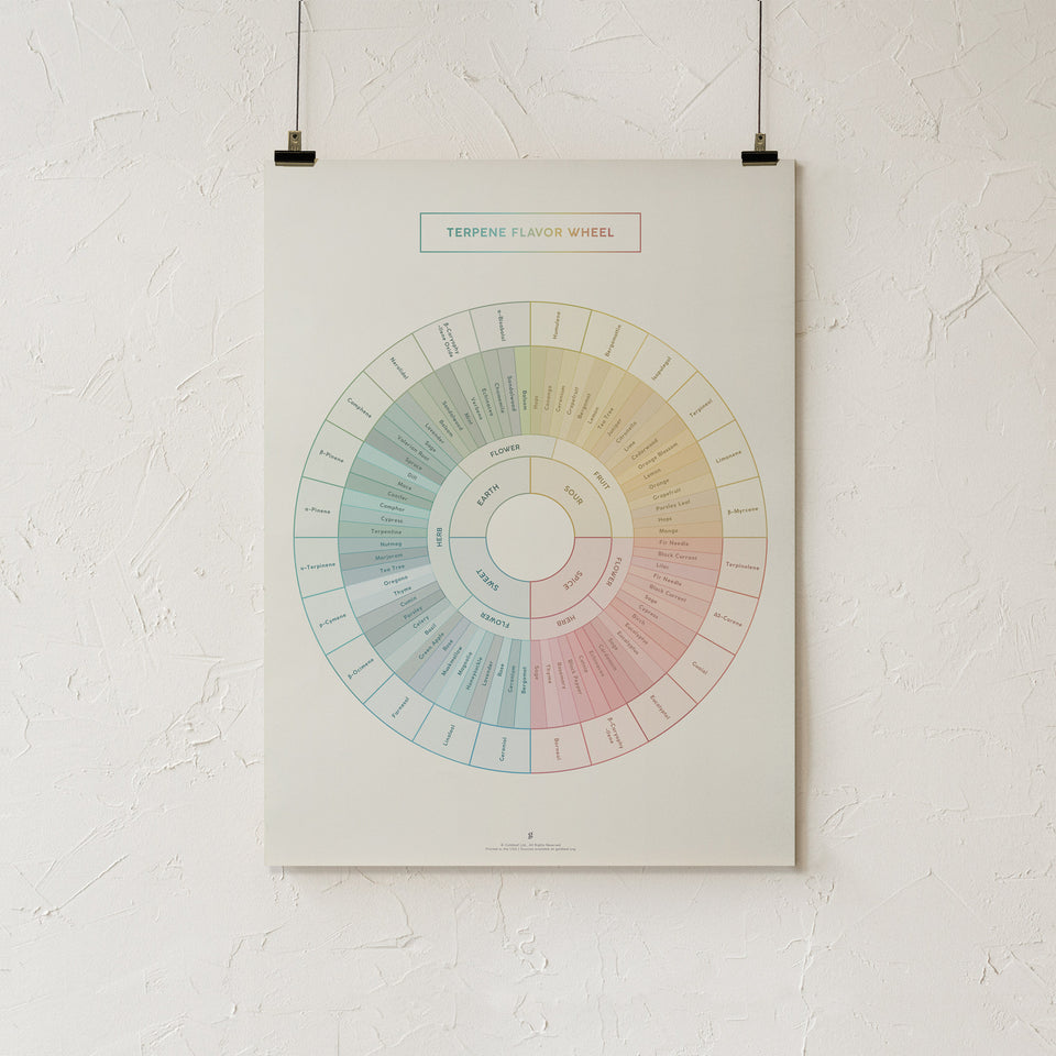 Terpene Flavor Wheel 18x24"