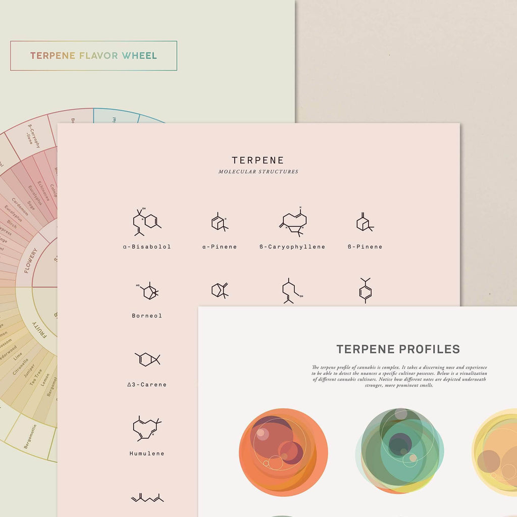 Terpenes Labels Terpene Posters & Charts: Cannabis Information | Goldleaf